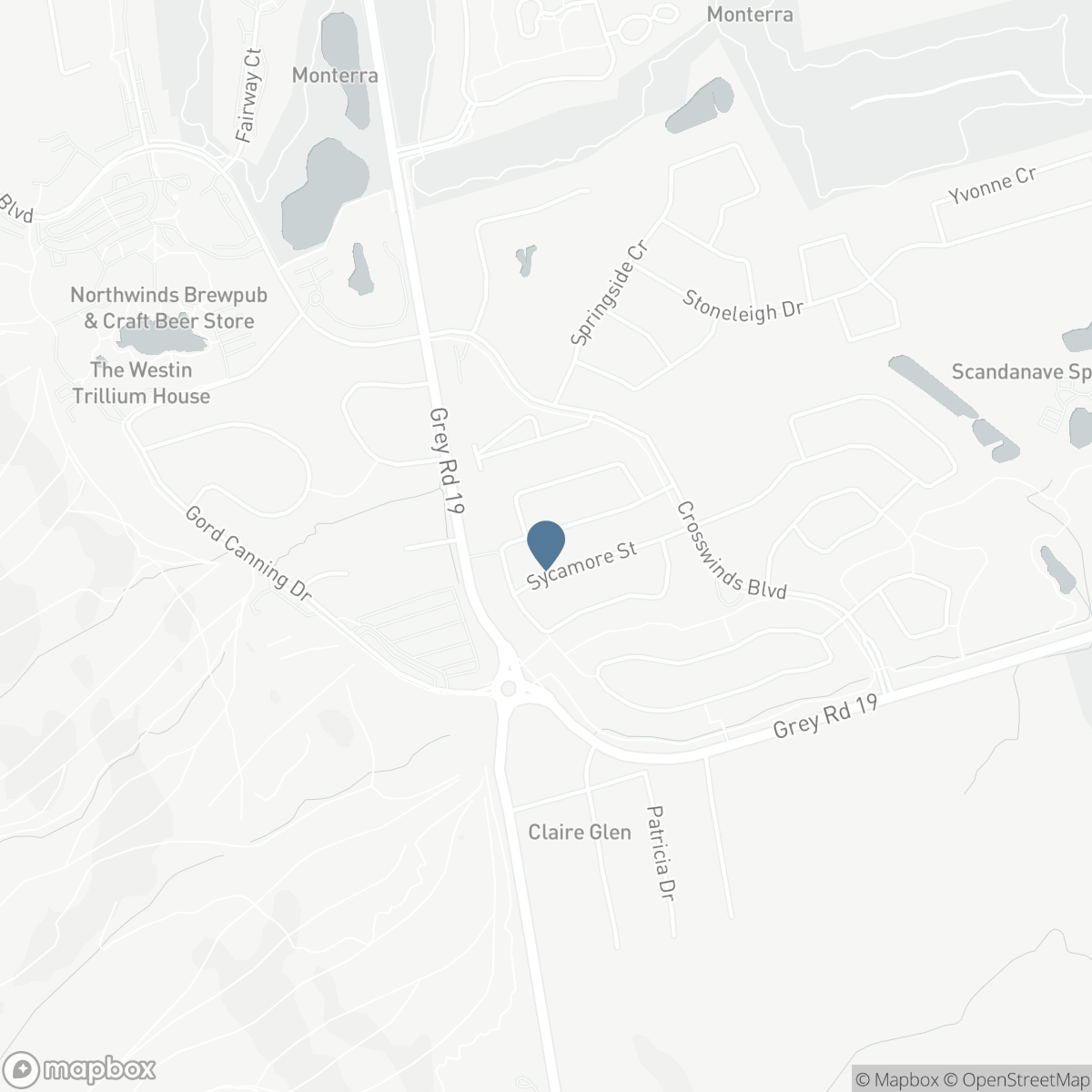 157 COURTLAND STREET, The Blue Mountains, Ontario L9Y 5L7